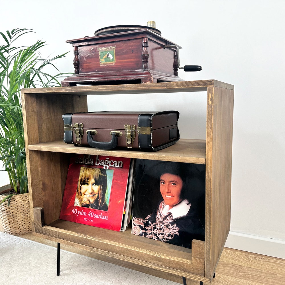 Record Player Stand, Vinyl Record Cabinet, Vinyl Holder, Record Console