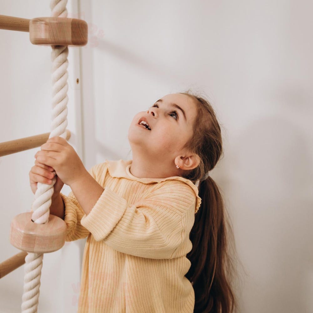 88x78" Giant Bridge Swedish Ladder & 1 Optional Rope Accessory: Gymnastics Rings, Waldorf Ladder, Baby Swing, Nursery Mobile Home Gym