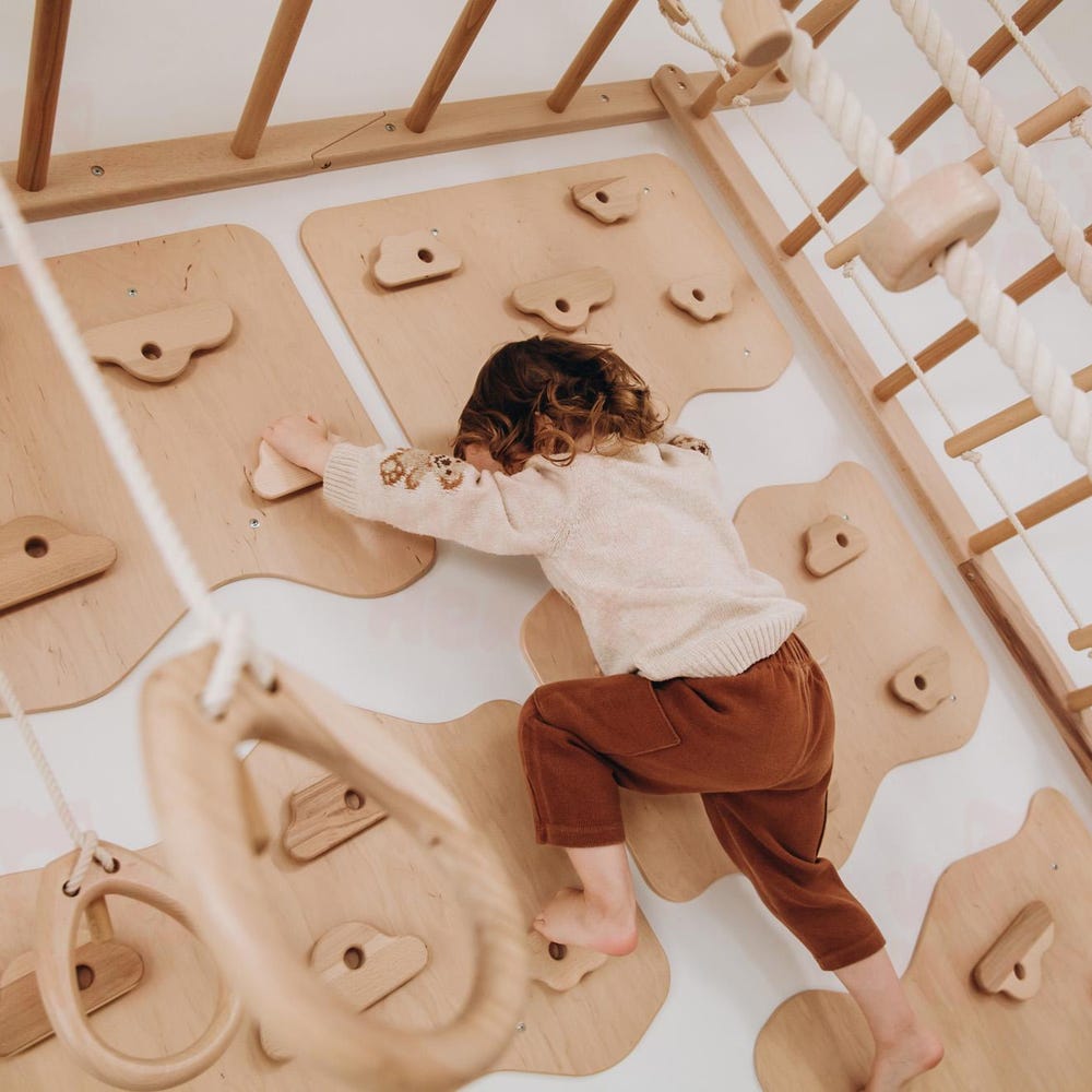 88x78" Swedish Ladder, Wall Games, Climbing Panels, Indoor Climbing Wall, Monkey Bars, Indoor Swing, Montessori Climbing