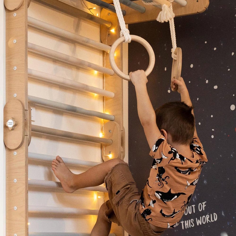 Wall Mount, stall bar maker, convert your HM Climber to Swedish wall,  easy take-off and put back on the wall, wall hanger
